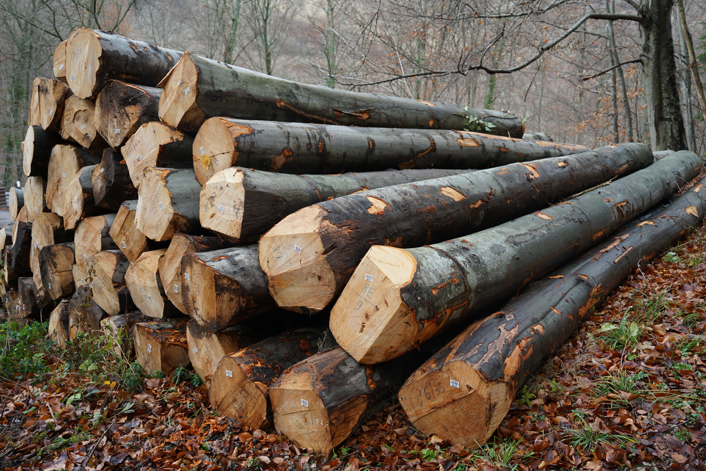 0153b695be1f7591e88f3a87cced713d6b680b3e95